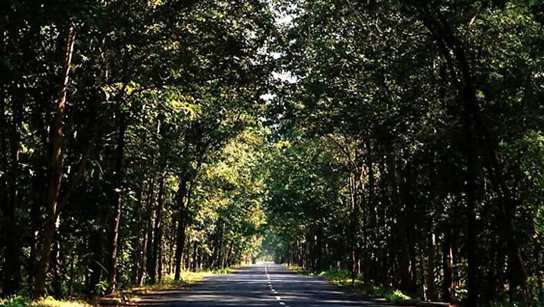 People Will Soon Have To Carry Oxygen Cylinders, Warns NGT