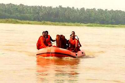 News18 Impact: Kerala's Great Cow Rescue