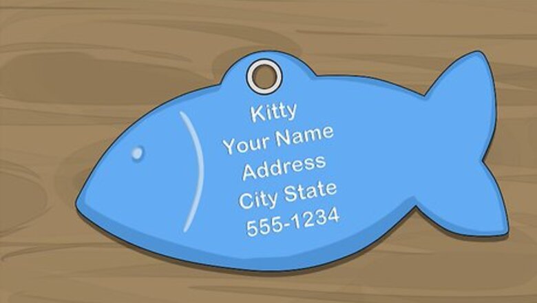 How to Get an ID Tag for Your Cat