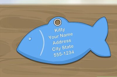 How to Get an ID Tag for Your Cat