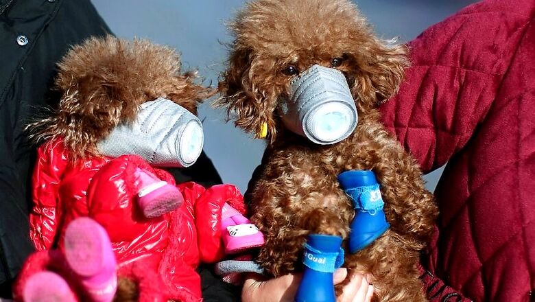 Don't Kiss Your Pets, Keep Them Clean; They May Catch Coronavirus From You