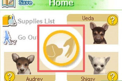 How to Teach Your Nintendogs Tricks