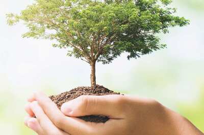 Delhi's Ambedkar University Pledges to Plant 6,000 Saplings in Monsoon: VC