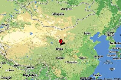 China zoo tries to pass off big hairy dog as lion