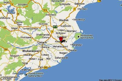 Turtle smuggling racket busted in Odisha, one arrested