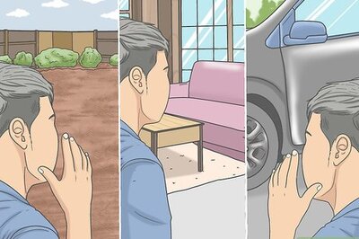 How to Get an Escaped House Cat to Come Home