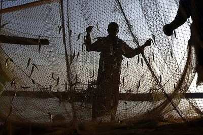 Cong in TN claims credit for release of 23 fishermen