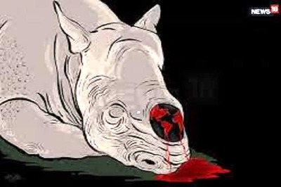 Wildlife Poaching Cases More Than Doubles During Covid-19 Lockdown in India: Study