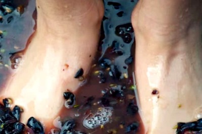 Foot Model Crushes Grapes Bare Feet, Prepares Wine And Sells It At Rs 10,662