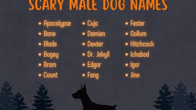 300+ Scary & Spooky Dog Names for Your Pup