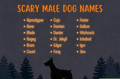 300+ Scary & Spooky Dog Names for Your Pup