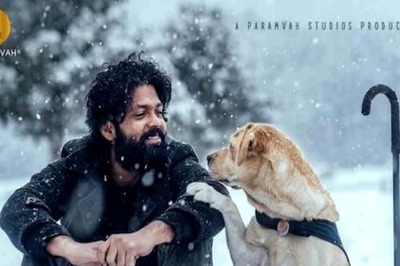 777 Charlie 4th Day Collection: Rakshit Shetty's Film Stays Steady, Earns Rs 5 Cr