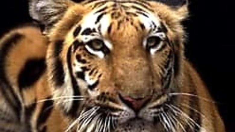 Bangladesh beach, forest, top natural wonders list