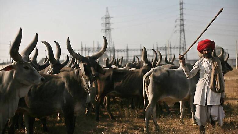 All India Kisan Sabha Says Cattle Ban Notification Violates Fundamental Rights, Files PIL in SC