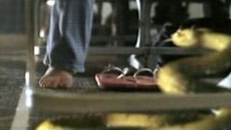 Real life twist for Snakes on a Plane