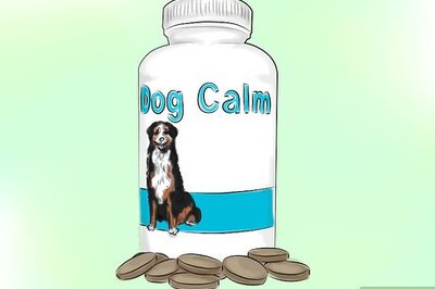 How to Calm a Dog With Natural Remedies