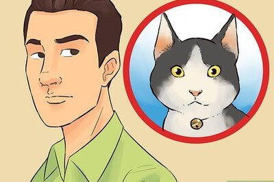 How to Write a Comic Strip