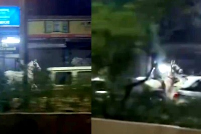 Jai Singh From Jaane Tu Ya Jaane Na? Man Rides White Horse On Delhi Street