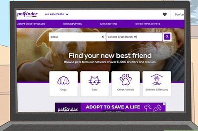 How to Buy Already Trained Dogs