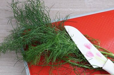 How to Preserve Fennel