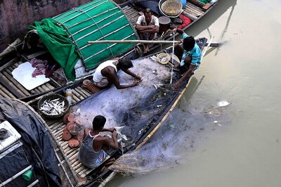 As Formalin-laced Fish Scare Spreads, New Rapid Testing Kit May Save the Day for Fishermen