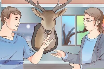 How to Be a Taxidermist