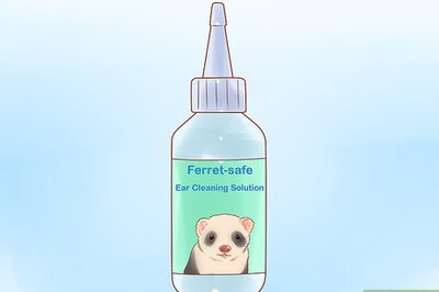 How to Clean a Ferret's Ears