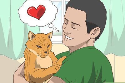 How to Volunteer Abroad