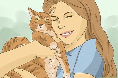 How to Help Animal Shelters During the Coronavirus Outbreak