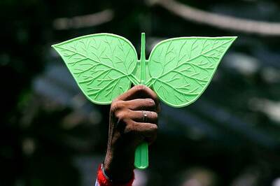 Election Commission Directs Sasikala Faction to Stop Using Two Leaves Symbol