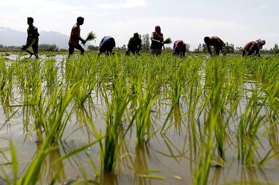 In a Relief to Farmers, Met Department Predicts Normal Monsoon This Year