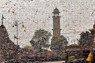 ‘Overtaken by Aliens’: How Thousands and Thousands of Locusts Silently Attacked Jaipur Colonies