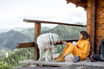 Travelling with Pets in Monsoon? 5 Tips for a Smooth and Safe Journey