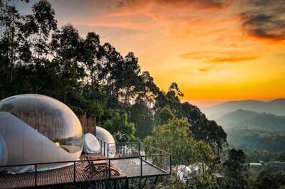 The Eco-Friendly Revolution Shaping the Future of Travel: Insights from Industry Leaders