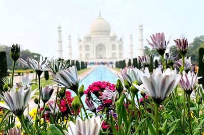 Taj Mahal Closes for Visitors From Today Over Coronavirus Fears