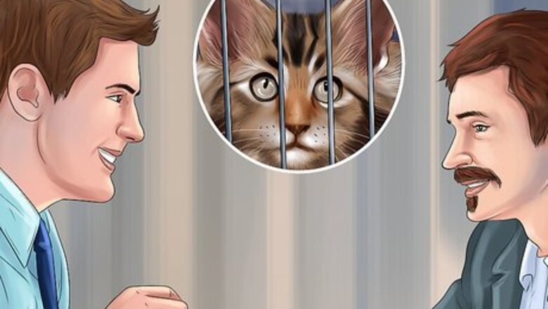 How to Find Safe Placement for Your Cat After Foreclosure