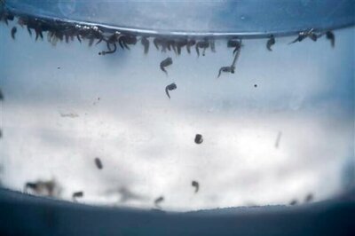 Colombia reports 37,000 Zika cases, over 6,300 in pregnant women