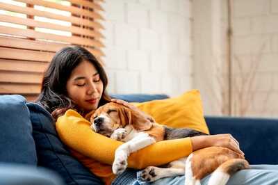 The Journey of Friendship: How Pets Have Become Family Over the Years