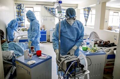 'Cow Dung Therapy' Can't Beat Covid, May Actually Trigger Black Fungus, Warn Doctors