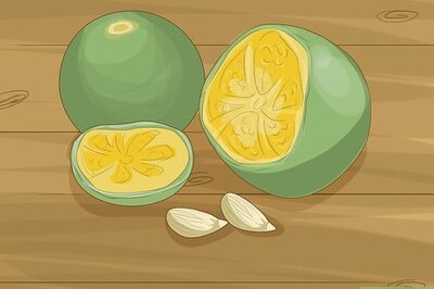 How to Plant Calamansi