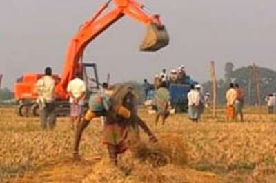 Bengal govt puts on hold all SEZs