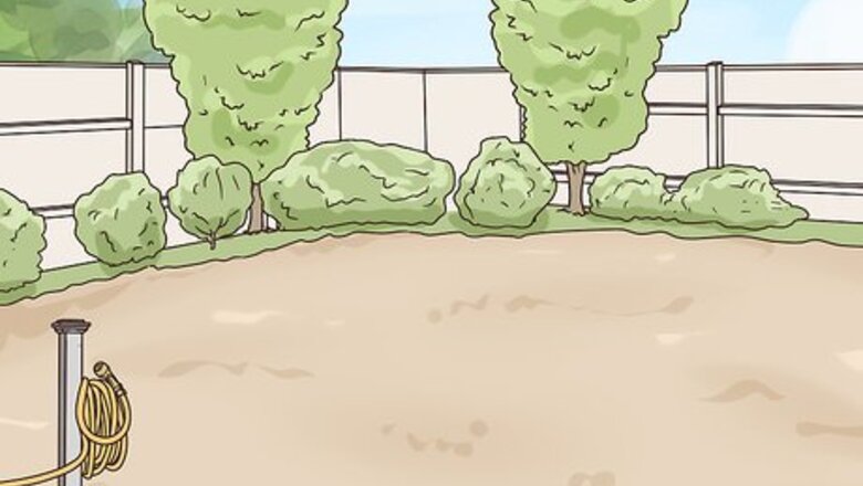 How to Grow a Sustainable Garden
