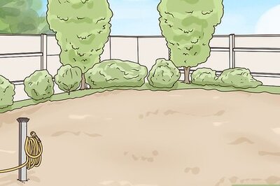 How to Grow a Sustainable Garden