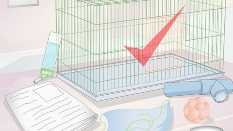 How to Set up a Pet Rat Cage