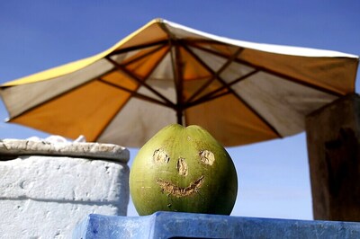 Coconut Flour Has A Considerable Health Benefit, Say Researchers