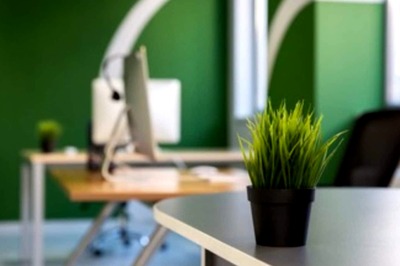 Step Up Your Productivity By Turning Your Office Into a Green Office With These 10 Habits