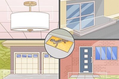 How to Get Rid of Geckos