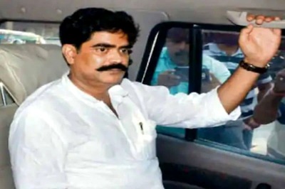 HC Grants Custody Parole to Jailed Former Bihar MP Shahabuddin to Meet Kin in Delhi