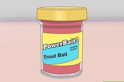 How to Use Powerbait