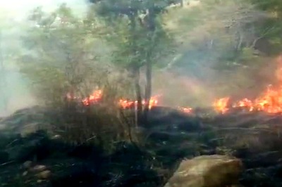 Forest Fire in Tamil Nadu's Theni Traps Over 30, Air Force Called in